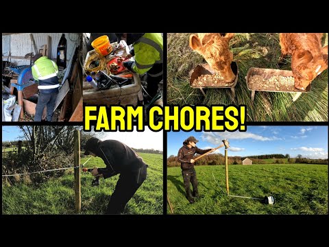 Видео: ОТ КАРТОФЕЛЯ ДО ПАСТБИЩНОЙ РАБОТЫ!