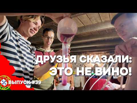 Видео: Моё домашнее вино в Португалии. Первое снятие с осадка | Дом в Португалии. Выпуск 39