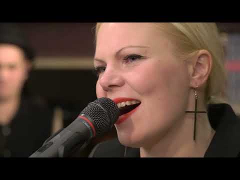 Видео: Вася Ложкин. Концерт  11 марта 2022 года