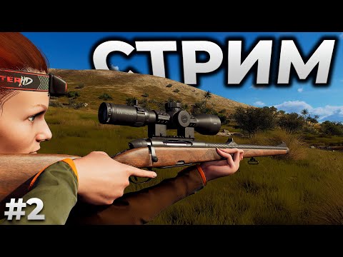 Видео: WAY OF THE HUNTER ► СТРИМ - Matariki Park DLC ► RTX 4090 #2