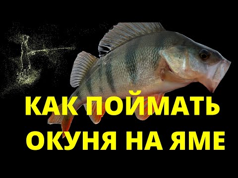 Видео: Как поймать окуня на яме