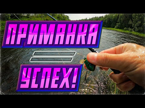 Видео: НА ЭТОМ ПЕРЕКАТЕ ПОЛНО РЫБЫ, ЕСЛИ ПОДОБРАТЬ ПРИМАНКУ! СПИННИНГ В НАЧАЛЕ ЛЕТА. ОХОТА за  ГОЛАВЛЁМ.