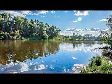 Видео: 2020 На моторной лодке по Оми от Калачинска до Омска