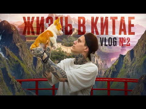 Видео: ЖИЗНЬ В КИТАЕ: переезд, визы, учеба, еда, медицина. VLOG № 2
