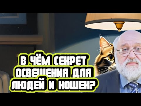 Видео: Борис Бояршинов про освещение для людей и кошек