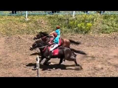 Видео: 28 06 2025 Жорго салыш Ташкескен