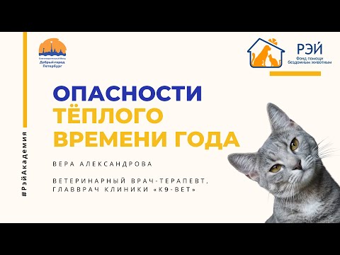 Видео: Опасности тёплого времени года