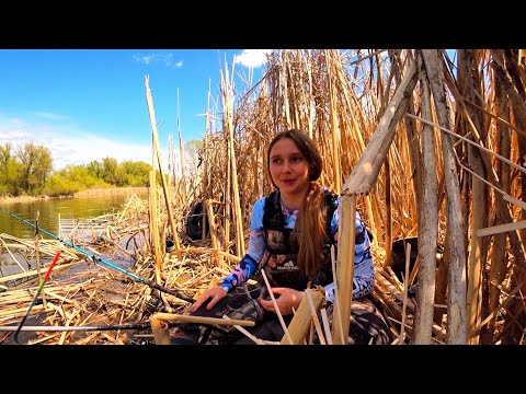 Видео: В ДЕБРЯХ КАМЫША САЗАН ОДИН ЗА ОДНИМ НА ПОПЛАВОЧНУЮ УДОЧКУ! Рыбалка на удочку весной,сазан,карась!!