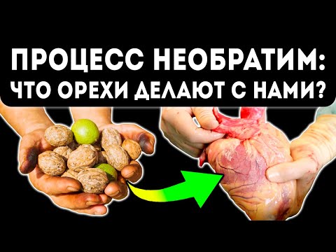 Видео: Неожиданный эффект! Ударная доза грецкого ореха сопоставима с…