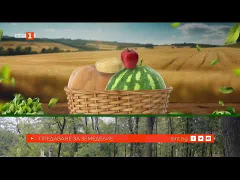 Видео: "По света и у нас" на 09.10.2025 от 12.00 ч.