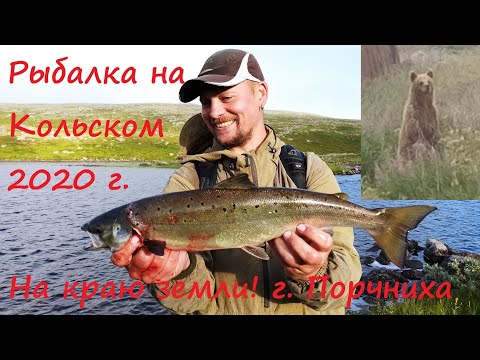 Видео: Рыбалка на Кольском,  Семга, кумжа .Баренцево море,  север. Порчниха. Медведь. Лиса.  Рыбалка.