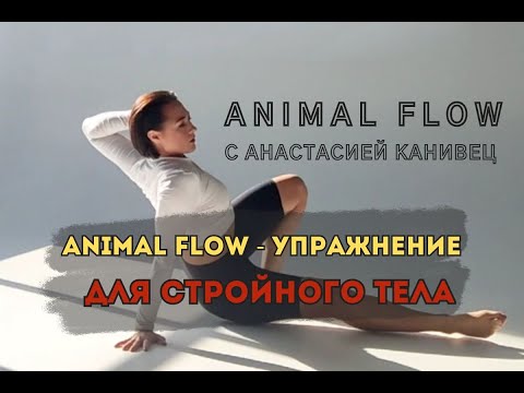 Видео: Animal Flow - упражнение для стройного и функционального тела.