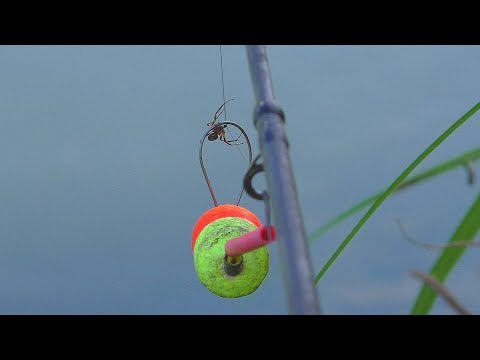 Видео: Караси, щуки   Рыбалка летом в июне   Ловля на живца
