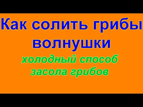 Видео: Как солить грибы волнушки Холодный засол грибов