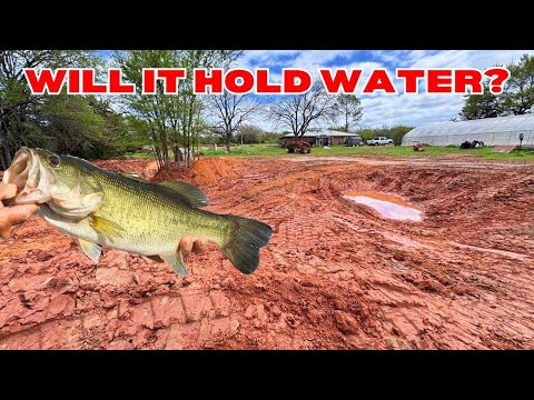 Видео: Постройте пруд для разведения окуня на заднем дворе, используя только погрузчик с бортовым поворо...