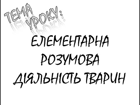 Видео: ЕЛЕМЕНТАРНА РОЗУМОВА ДІЯЛЬНІСТЬ ТВАРИН