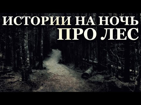 Видео: Истории на ночь про Лес. Мистика в лесу (5в1)