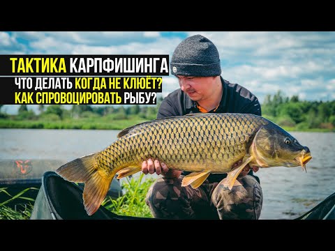 Видео: ТАКТИКА в КАРПФИШИНГЕ. Что делать когда НЕ КЛЮЕТ? Вариант как СПРОВОЦИРОВАТЬ рыбу!