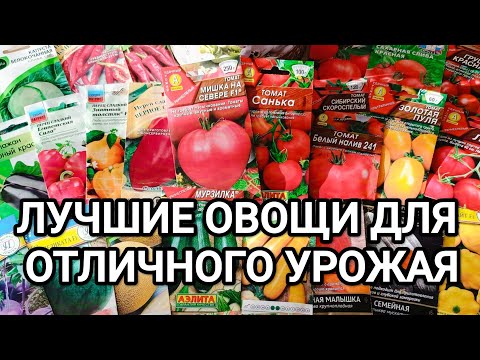 Видео: СЕМЕНА ОВОЩЕЙ НА 2025 ГОД// ЛУЧШИЕ ОВОЩИ ДЛЯ СУПЕР УРОЖАЯ