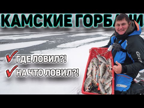 Видео: Рыбалка на окуня на Камском водохранилище.