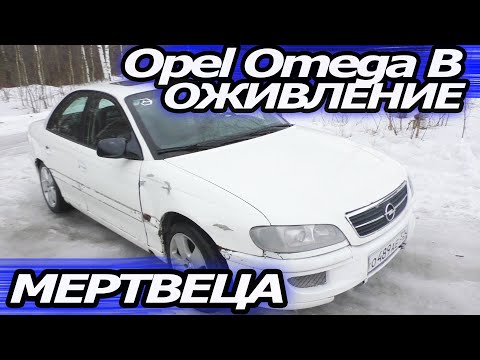 Видео: Опель Омега Б оживление мертвеца Ремонт мотора после 6 месяцев простоя ( слив )