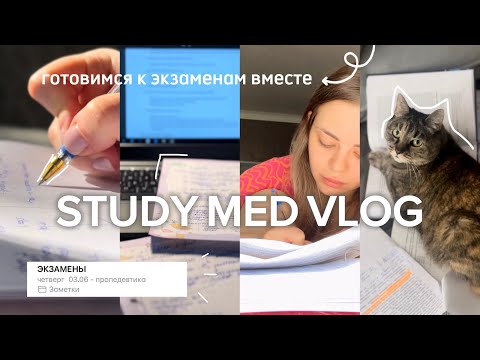 Видео: study med vlog: моя реалистичная сессия💦