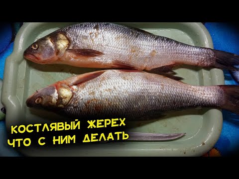 Видео: Как приготовить жереха. Покажу, что я делаю с костлявой рыбой. Все просят ещё и ещё. Рецепт жереха