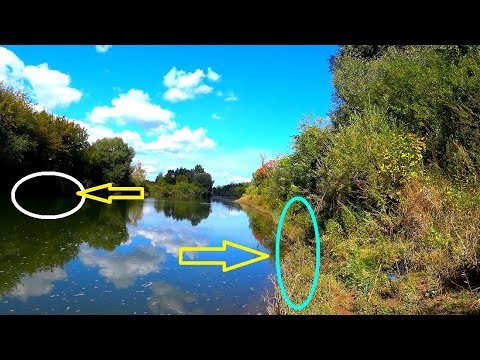 Видео: ВОЛОСЫ ВСТАЛИ ДЫБОМ от УВИДЕННОГО НА БЕРЕГУ!