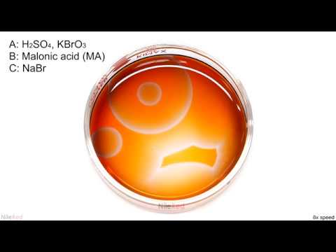 Видео: Реакция Белоусова-Жаботинского / Автоколебательная реакция