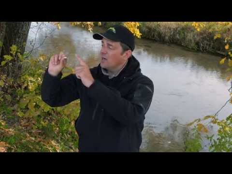 Видео: Воблер Archback 35 (EG-125E-SP)