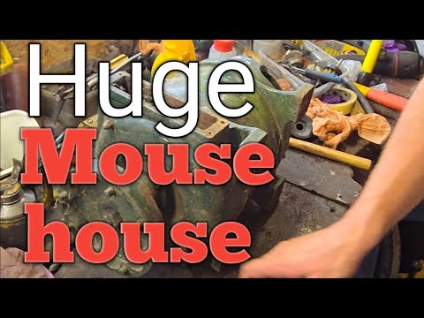 Видео: Стюарт Динамо. Огромный мышиный дом. Из этого ничего не выйдет.