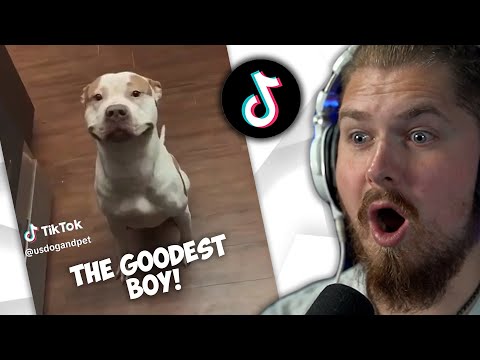 Видео: Эти полезные видео из TikTok сделают ваш день! Эпизод 3