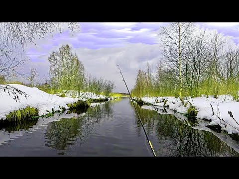 Видео: ОДИН ЗАБРОС - ТРИ ЩУКИ !!! Рыбалка 2025 (нет)