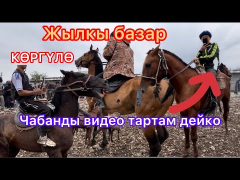 Видео: Жамгырда кызып жатат базар