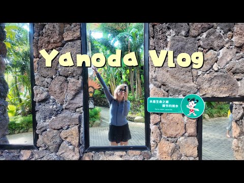 Видео: ХАЙНАНЬ: ТРОПИЧЕСКИЙ ЛЕС ЯНОДА 🏝️ #китай#хайнань#chinatravel