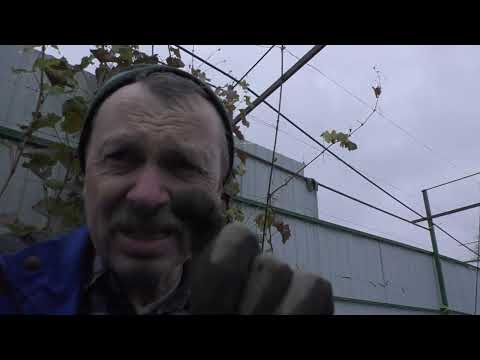 Видео: Знову корчування і саджання