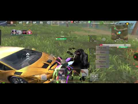 Видео: Solo/Squad 80$ Wild island #lastislandofsurvival #lios#общественныесервера#лиос