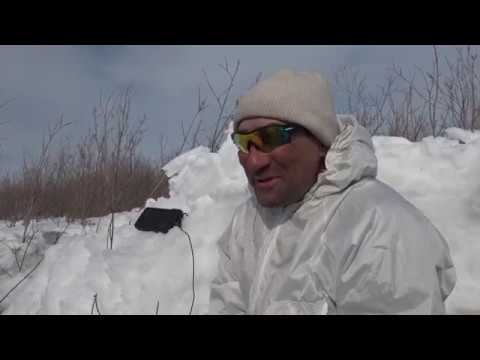 Видео: Гусиная охота на Индигирке