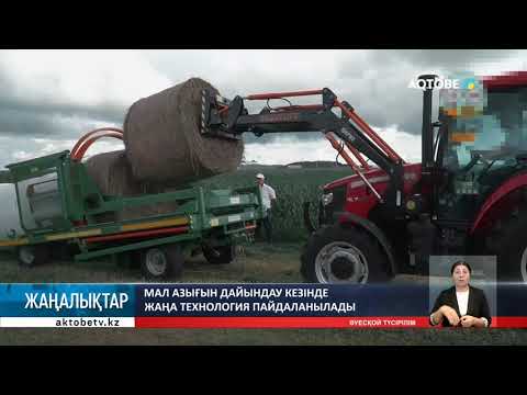Видео: Мал азығын дайындау кезінде жаңа технология пайдаланылады