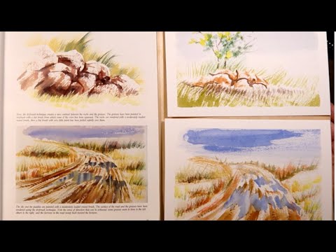 Видео: Сухая Техника в Акварели