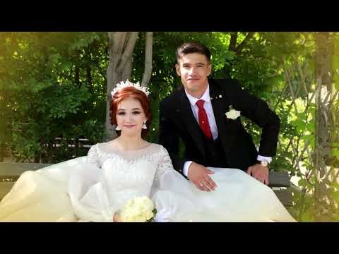 Видео: Рузибой ва Жасмина никох туйи Красноярск 24.06.2023