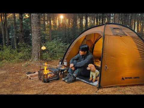 Видео: Кемпинг в палатке с собакой . Корейские моллюски и рамён на гриле . Дровяная печь ASMR
