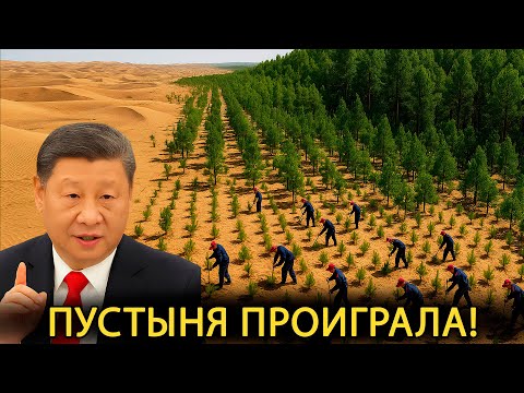 Видео: ОНИ смеялись над Китаем… А теперь сами хотят так сделать!