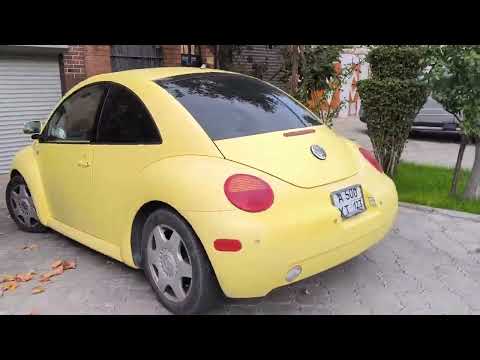 Видео: 5 ноября 2025 г.