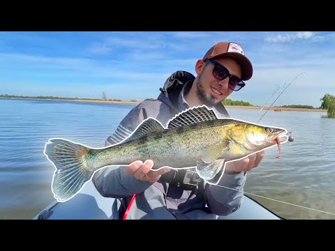 Видео: СУДАК НА ДЖИГ - ЭЛЬДОРАДО в КАЗАНИ на ОТКРЫТИЕ!