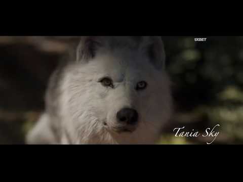 Видео: Клип к фильму🌟Зов предков🌟Call of the Ancestors