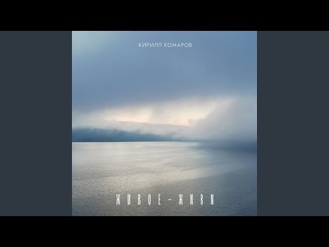 Видео: Моя гитара