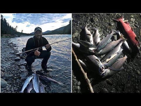 Видео: Аляска часть 4. Рыбалка на реке "русской". Нерка или Sockeye salmon.