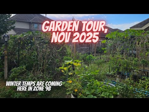 Видео: 🌾 Красота прохладной погоды! Прогулка и беседа по саду в ноябре 2025 г.