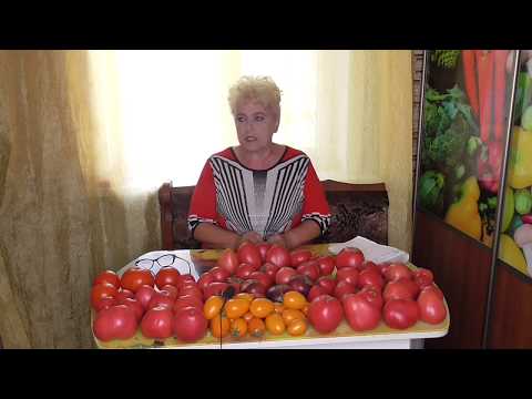 Видео: КАК ПОЛУЧИТЬ РАННИЙ УРОЖАЙ ТОМАТОВ. Ольга Чернова.